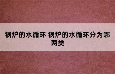 锅炉的水循环 锅炉的水循环分为哪两类